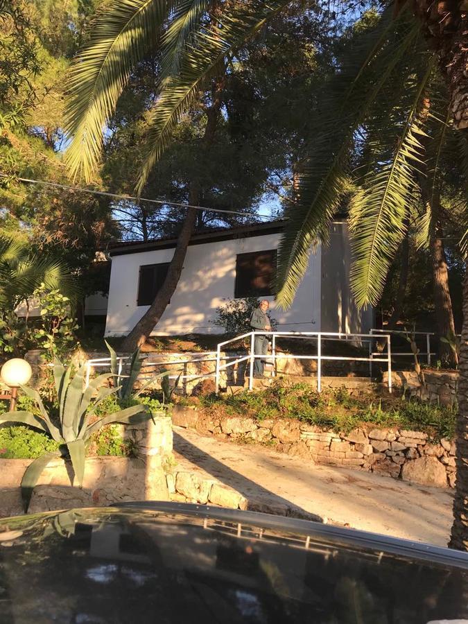 Resort Village T.N. Milna 维斯 外观 照片